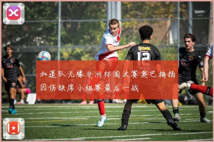 加蓬队无缘非洲杯淘汰赛奥巴梅扬因伤缺席小组赛最后一战
