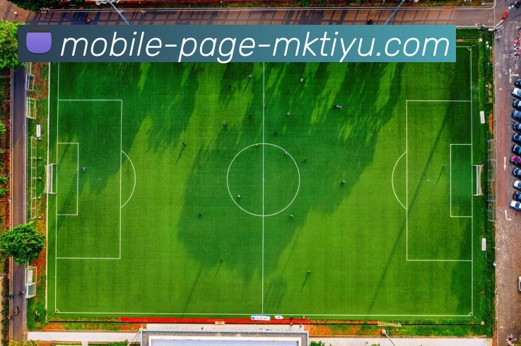 多媒体互动体验