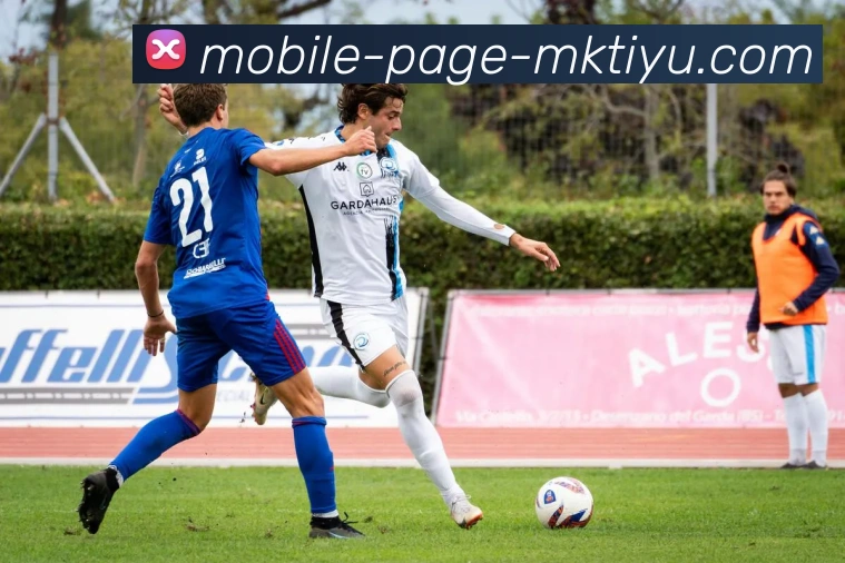 MK体育APP 高清赛事图